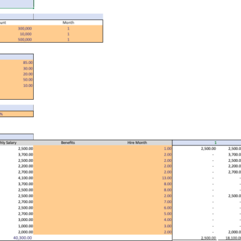 Weight-Loss-Excel-Financial-Model-Template-Input.png