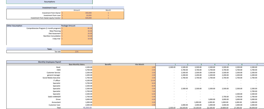 Weight-Loss-Excel-Financial-Model-Template-Input.png