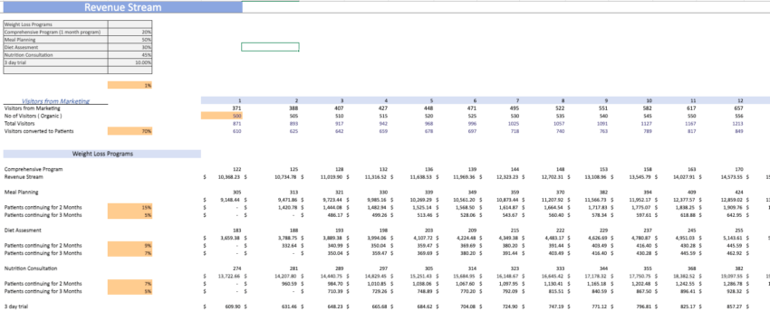 Weight-Loss-Excel-Financial-Model-Template-revenue