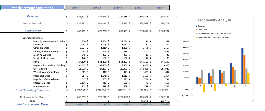 Weight-Loss-Excel-Financial-Model-Template-yearly-income-statement