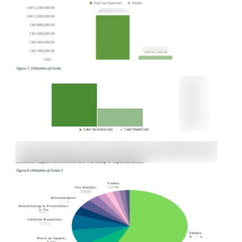 Ride Hailing App Business Plan- Utilization Of Funds