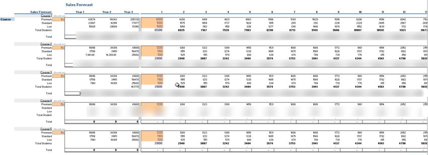 Virtual Classroom Excel Financial Model