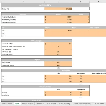 Database Excel Financial Model - Input Sheet