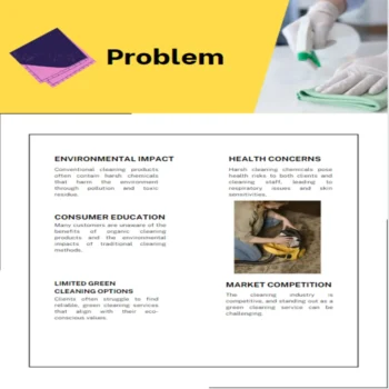 Organic Cleaning Business Plan - Problem Statement