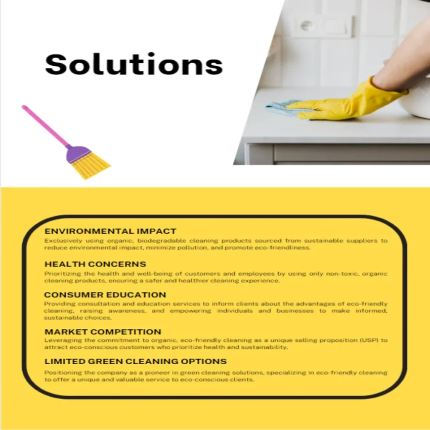 Organic Cleaning Business Plan - Solution