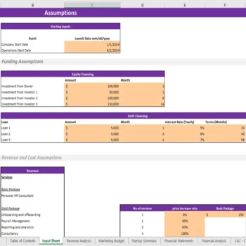 Recruitment Agency Excel Financial Model - Input Sheet