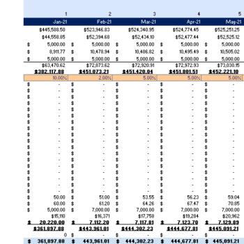 Dog Obedience Financial model