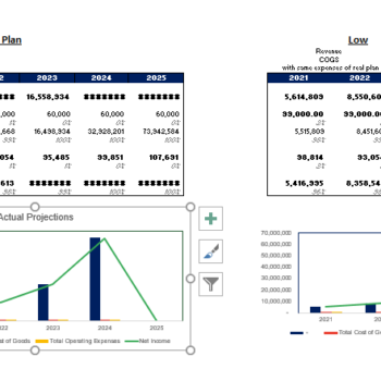 Dog Obedience Financial model