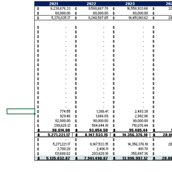 Dog Obedience Financial model