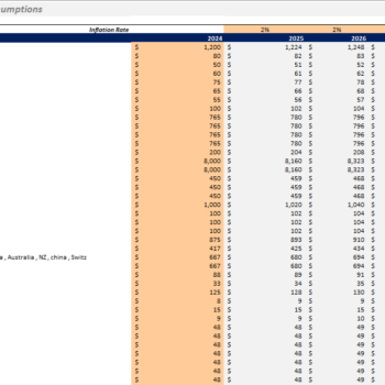 SVOD Advanced Excel Financial Model Template