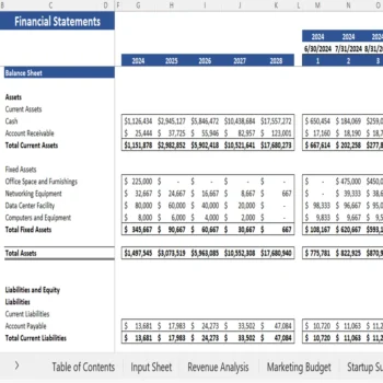 Website Hosting Service - Balance Sheet