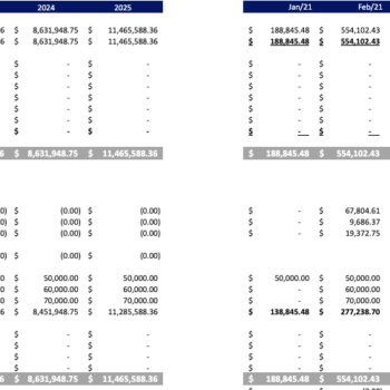 Blockchain Based Software Excel Financial Model