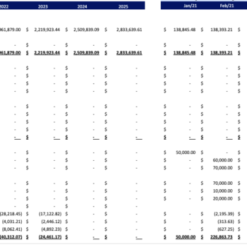 Blockchain Based Software Excel Financial Model