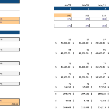 Blockchain Based Software Excel Financial Model