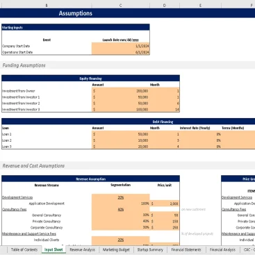 Blockchain Development Excel Financial Model - Input Sheet