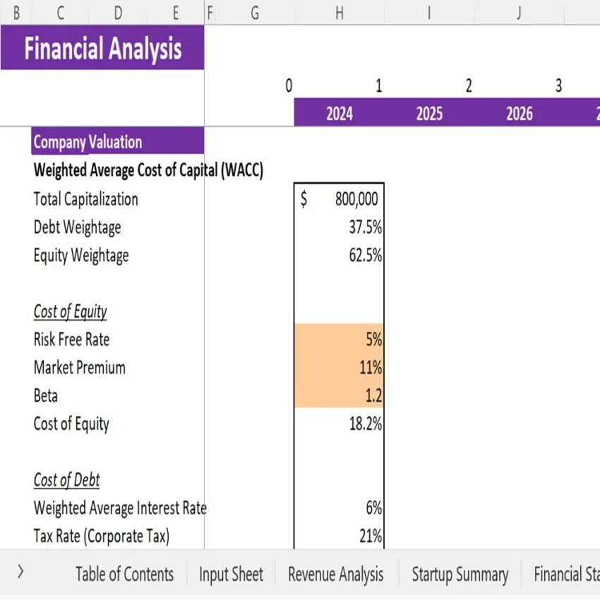 Mental Health Center Financial Model - Company Valuation