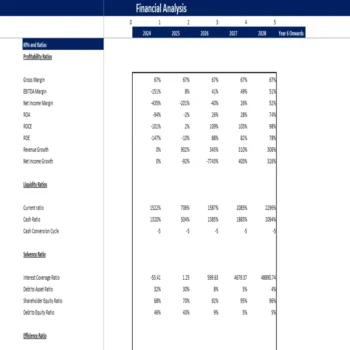 Fintech Financial Model-KPIs and Ratios