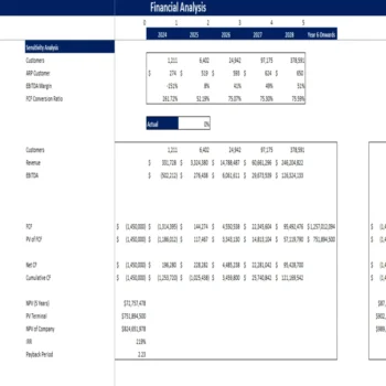 Fintech Financial Model-Sensitivity Analysis