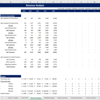 Telemedicine Excel Financial Model - Revenue Analysis