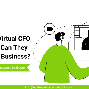 What is a Virtual CFO, and How Can They Help Your Business?