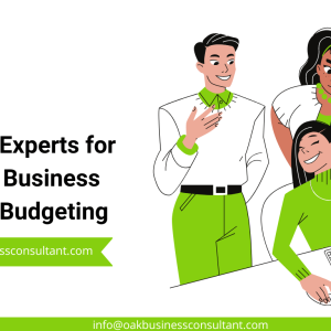 Tips from Experts for Services Business Financial Budgeting