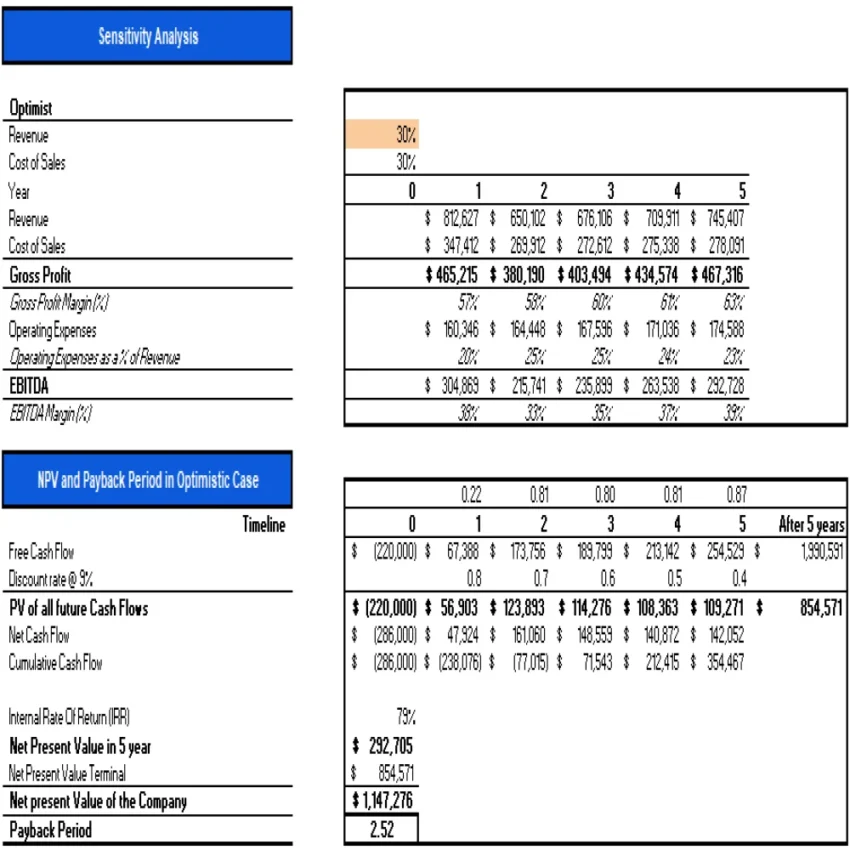 CBD Oils Store Excel Financial Model Projection Template - Sensitivity Analysis