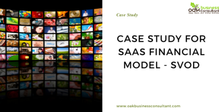 Case Study For SaaS Financial Model - SVOD