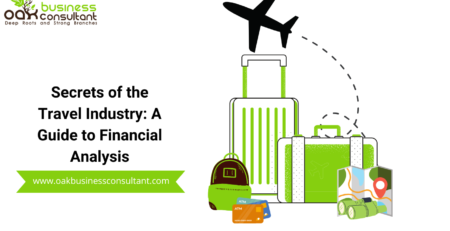 Secrets of the Travel Industry: A Guide to Financial Analysis