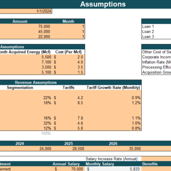 Natural Gas Distribution Financial Model Excel Template - Input