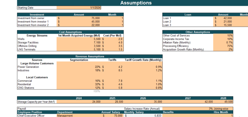 Natural Gas Distribution Financial Model Excel Template - Input