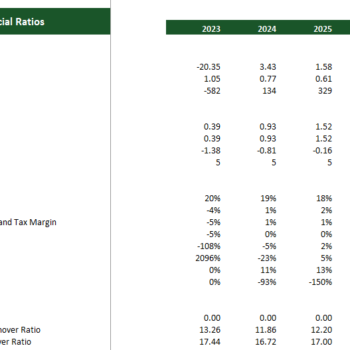 Casino Hotel Financial Model Excel Template- Financial Ratios