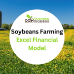 Soybeans Farming Excel Financial Model