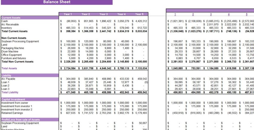 Soybeans Farming Excel Financial Model-Balance Sheet