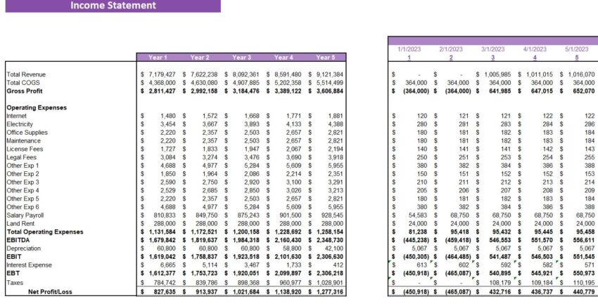 Soybeans Farming Excel Financial Model-Income Statement