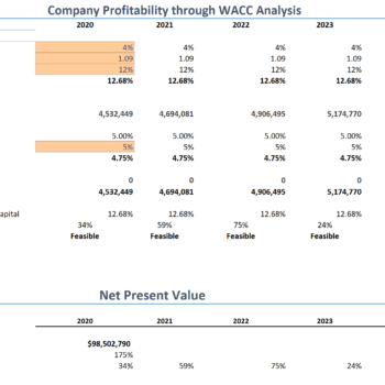 E-commerce Store Excel Financial Model-Project Evaluation