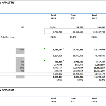 E-commerce Store Excel Financial Model-Sale Projection