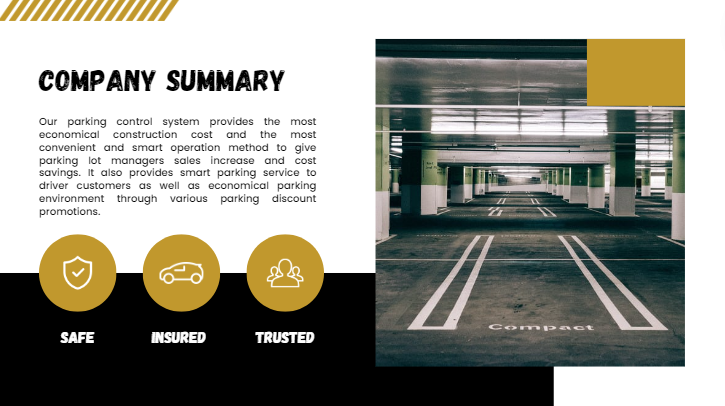 Parking Lot Pitch Deck - Company Summary