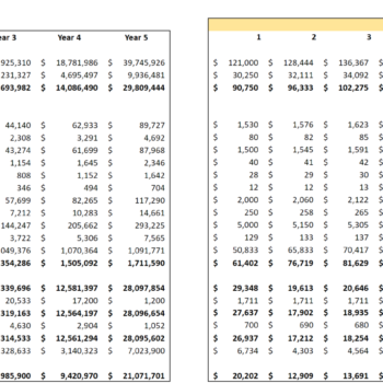 E-commerce Excel Financial Model Template-Profit and Loss Statement