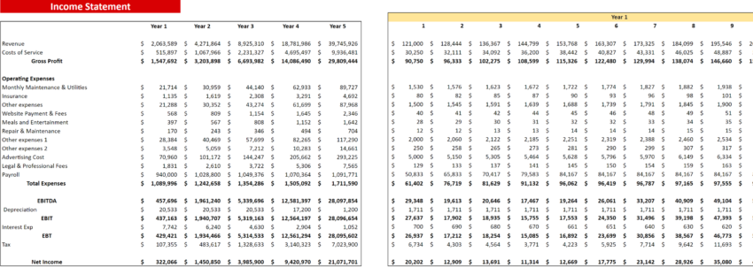 E-commerce Excel Financial Model Template-Profit and Loss Statement