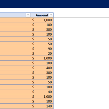 Rental Car Budget Tracker-Actual Data Input