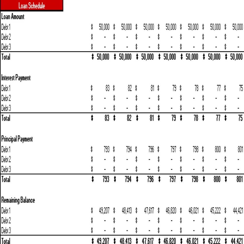 CBD Products Store Excel Financial Model Projection Template - Loan Amortization Schedule