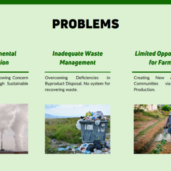 Agricultural Bioethanol Pitch Deck Template- Problems