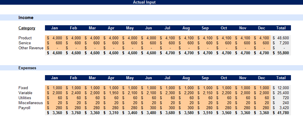 Business Budget Tracker-Actual Input