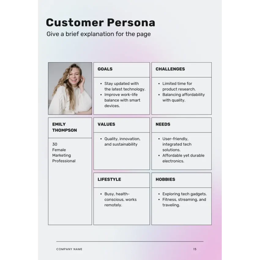 Electronics Business Plan Template - Customer Persona
