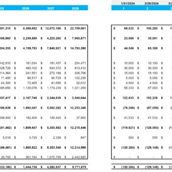 Professional and Management Development Training Excel Financial Model-Profit and Loss Statement