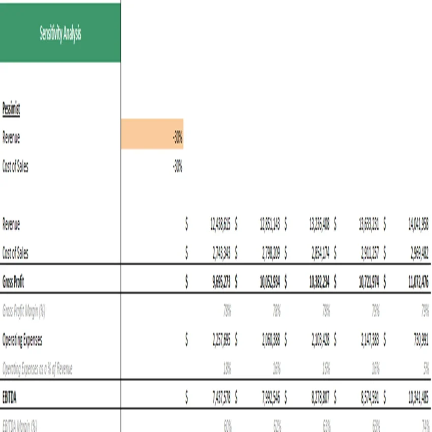 Bean Farming Financial Model Excel Projection Template - Sensitivity Analysis