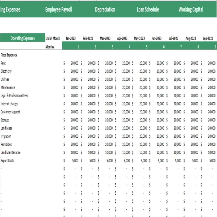 Bean Farming Financial Model Excel Projection Template - Supporting Details