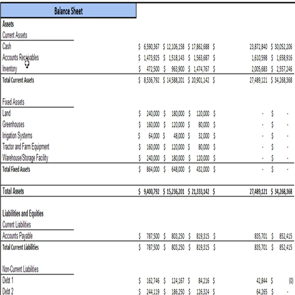 Botanical Farming Excel Financial Model Projection Template - Balance Sheet Projection