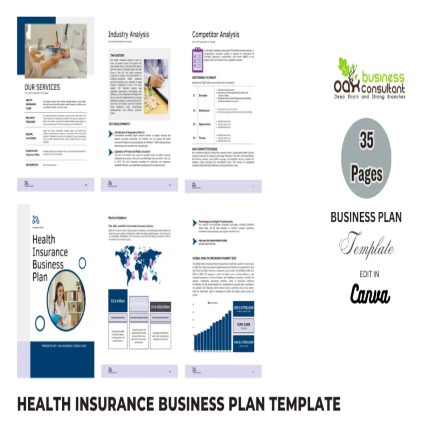 Health Insurance Business Plan - Feature Image