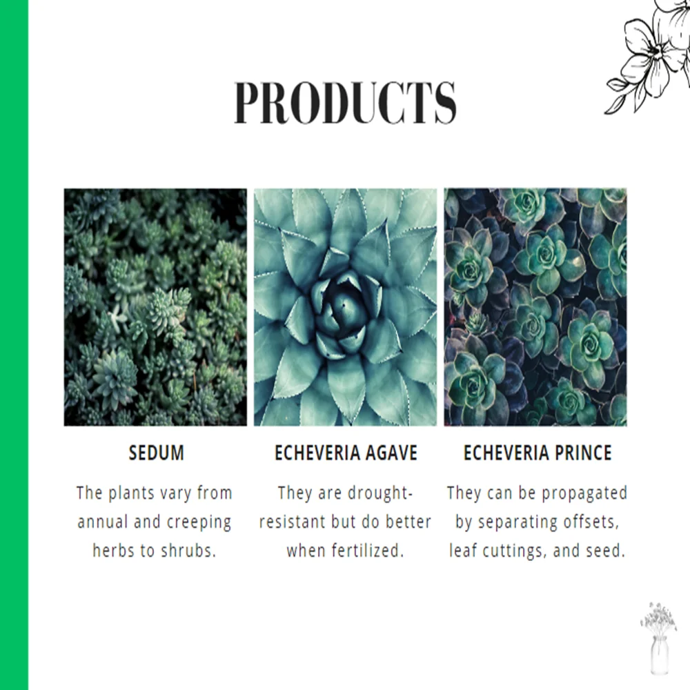 Nursery Garden Pitch Deck - Products